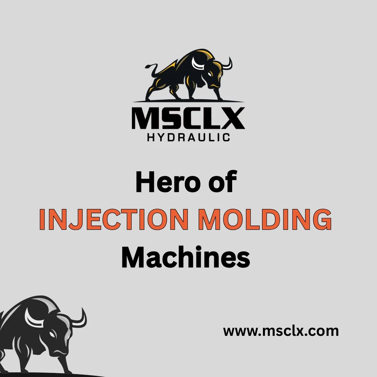 MSCLX hydraulic vane pumps for injection molding machines in Pakistan