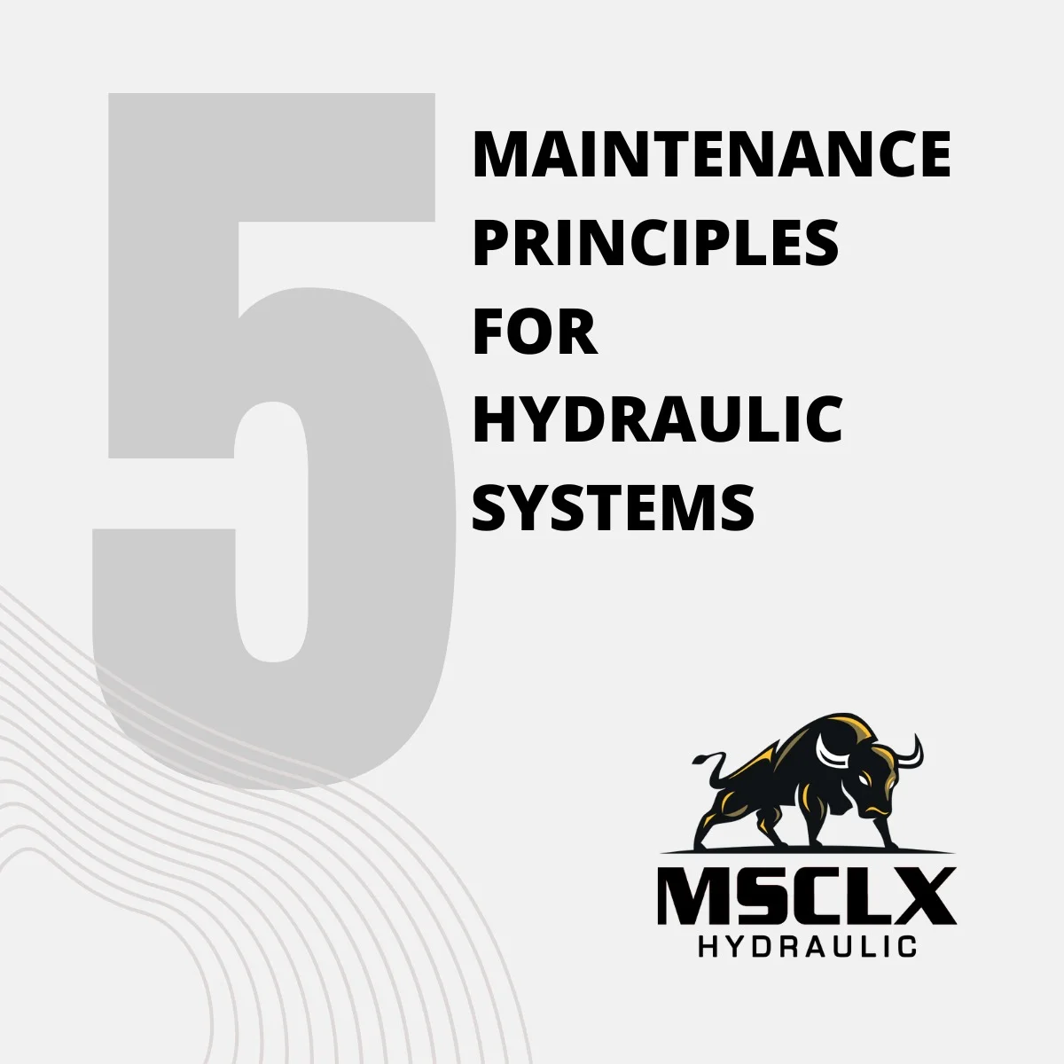 Maintenance guide for MSCLX hydraulic vane pumps highlighting key hydraulic system care practices.